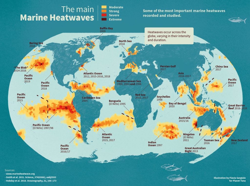 marine heatwaves