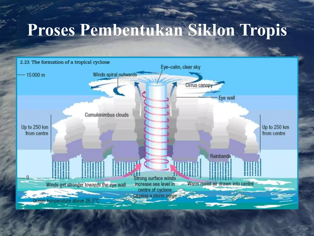pembentukan siklon tropis